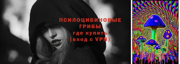 PSILOCYBIN Абинск