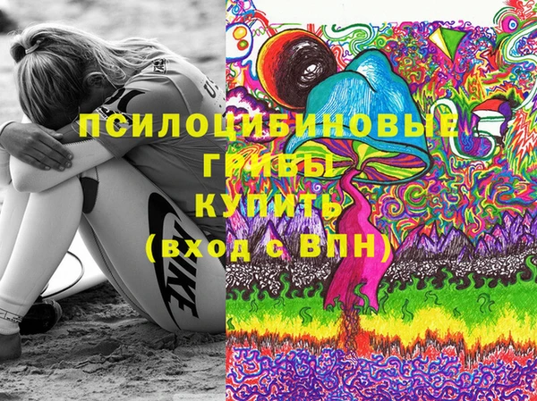 СК Алексеевка