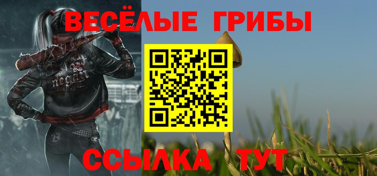 Псилоцибиновые грибы MAGIC MUSHROOMS  наркота  Павловский Посад  Вход с VPN  Псилоцибиновые грибы Magic Shrooms 